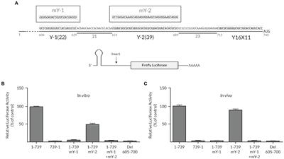 Multiple Cis-acting Polypyrimidine Tract Elements Regulate a Cooperative Mechanism for Triticum Mosaic Virus Internal Ribosomal Entry Site Activity